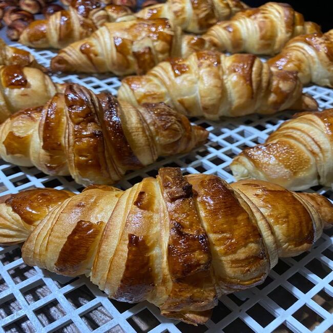 WhatsApp Image 2024-10-08 at 12.11.33 650 x 650.jpg