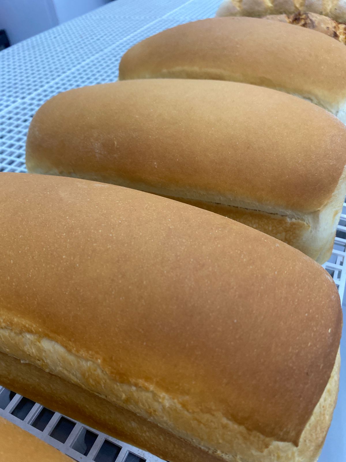 Pão de Leite e ovos.jpg